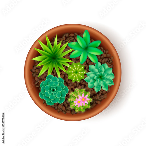 Big Pot Composition