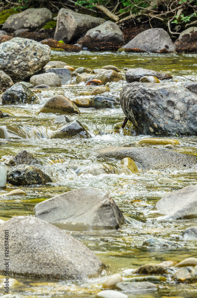 Fototapeta premium Majestic mountain river in Canada. Manning Park Lightning Lake Trail in British Columbia.