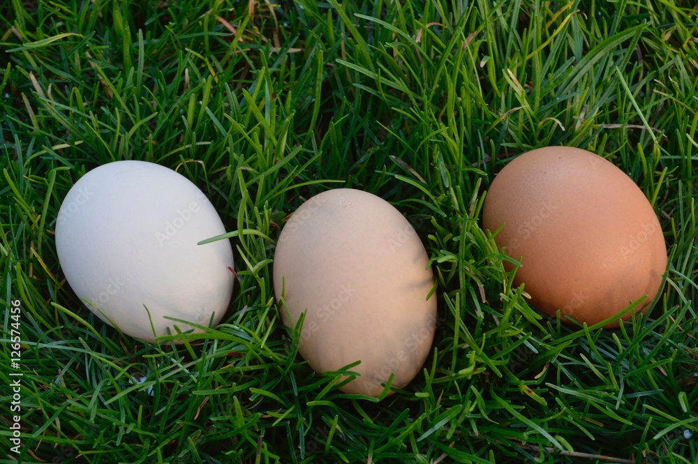 Three easter chicken eggs on green grass Three easter chicken eggs on green grass