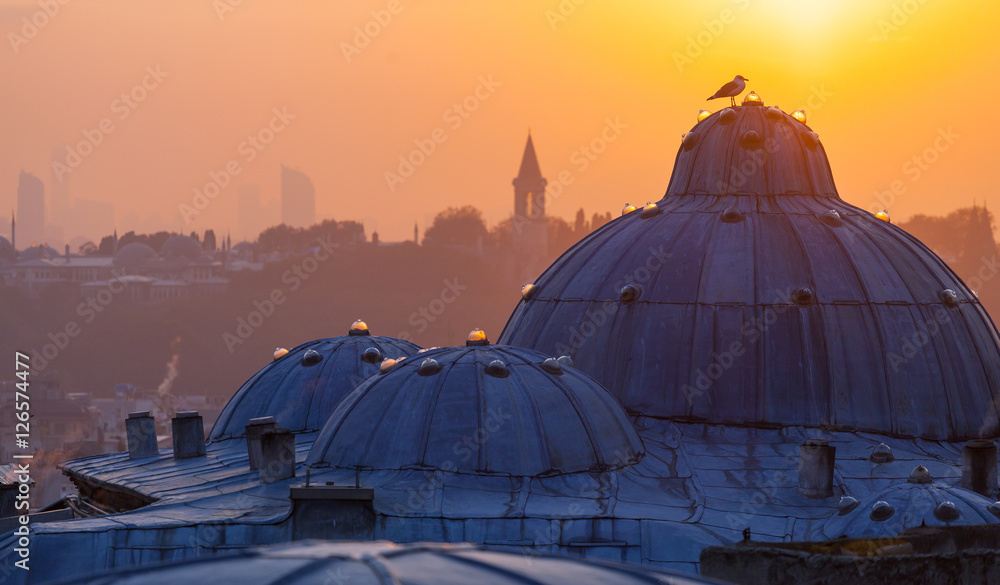 Obraz premium The beautiful Suleymaniye mosque in Istanbul, Turkey