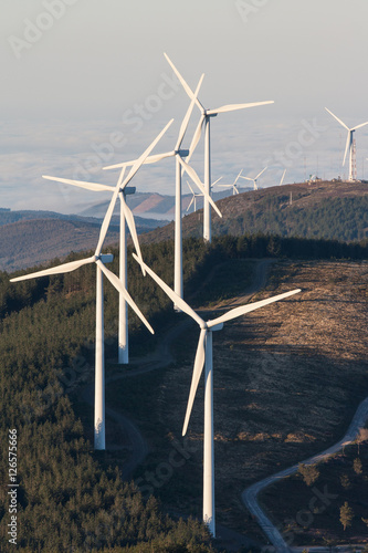 Eolic wind generators photo
