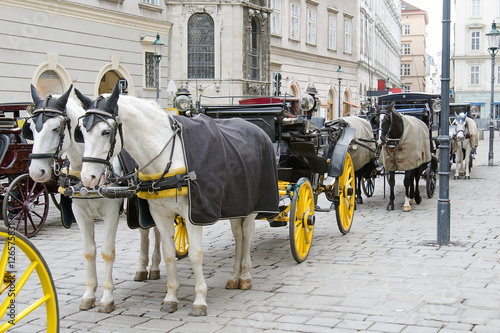 Horse-driven carriage, Vienna, Austria