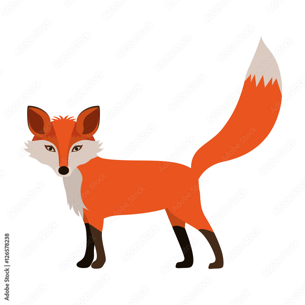 Fototapeta premium Fox icon. Animal cartoon and nature theme. Isolated and drawn design. Vector illustration