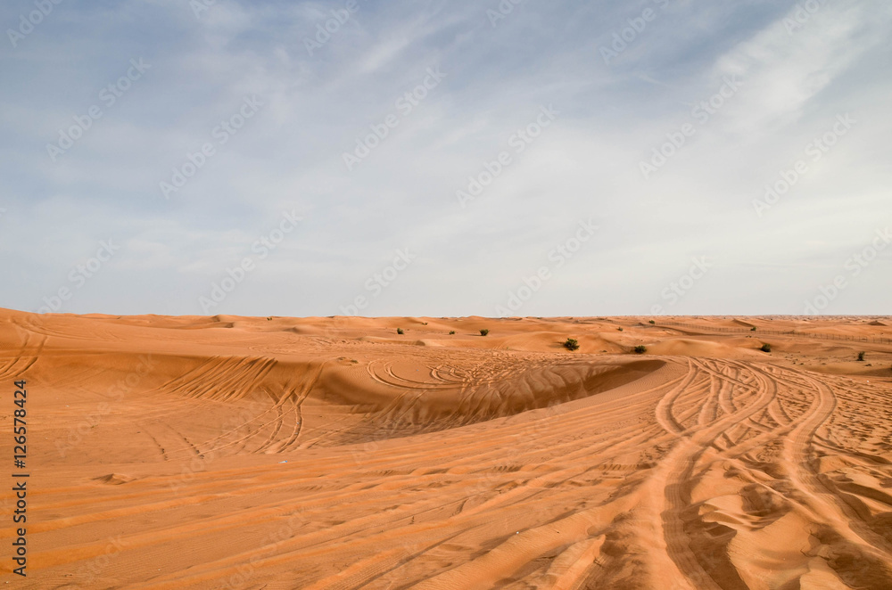 Spuren im Sand der Wüste