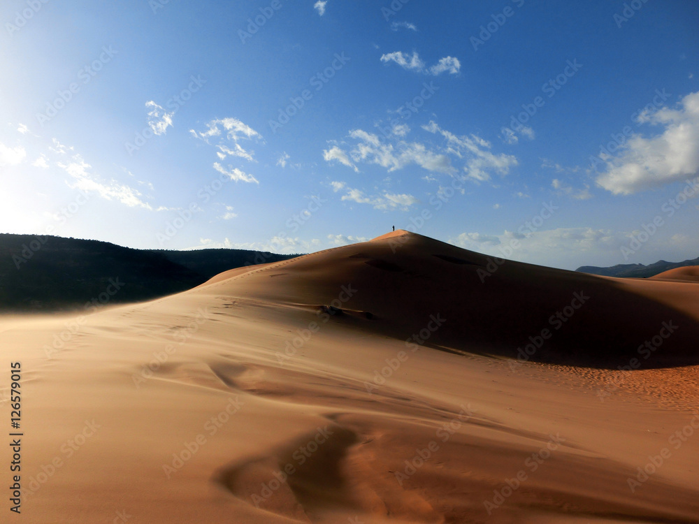 Windswept pink sand dune national park in Utah, USA