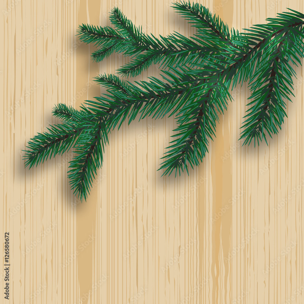 Green realistic fir tree branch and its shadow. On the background of wood. Pine board. illustration Green realistic fir tree branch and its shadow. On the background of wood. Pine board. illustration