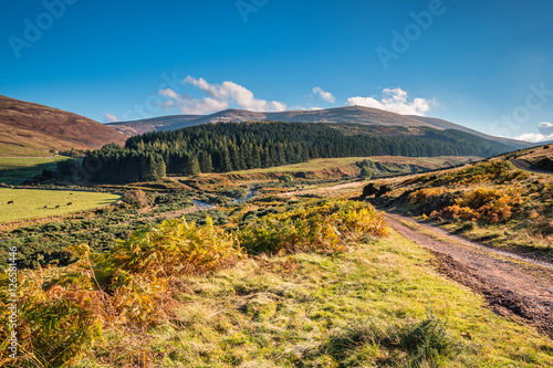 College Valley and The Cheviot, from which the hill range takes its name, is the highest point in Northumberland, located in the Anglo-Scottish borders, seen here in autumn 