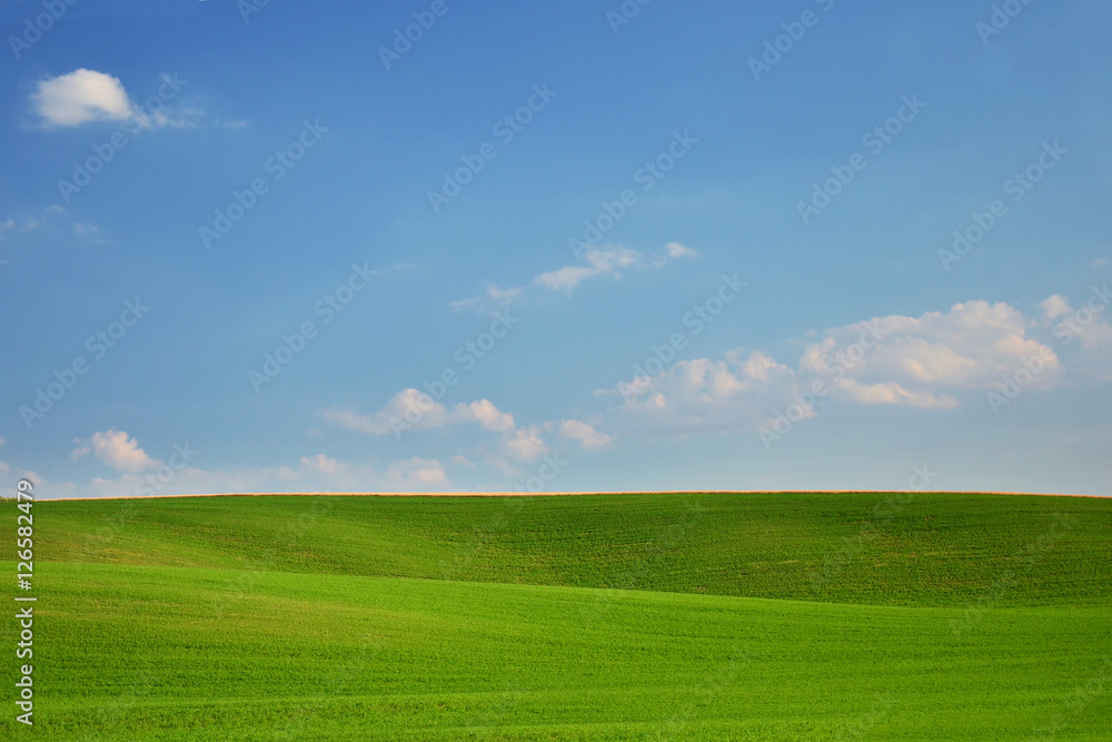 Beautiful green meadow with blue sky