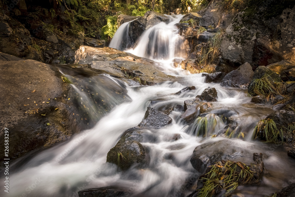 Cascada y rio en otoño