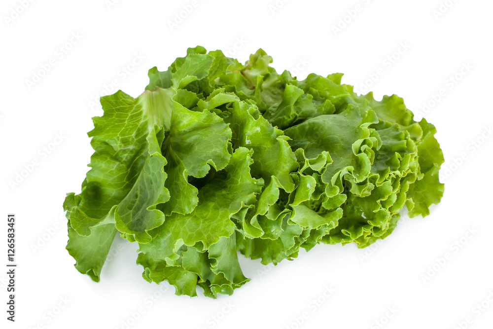 Salad isolated on white background .Salad leafs Salad isolated on white background .Salad leafs