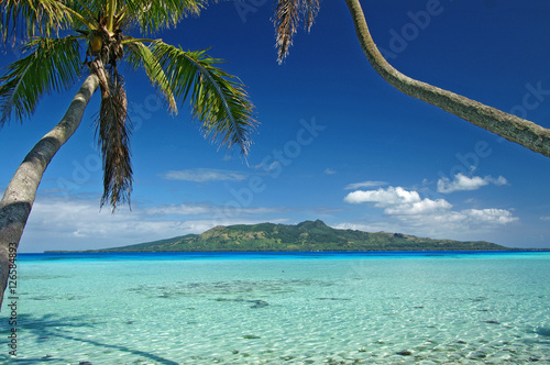 Tubuai island with coconut trees in the blue sky photo