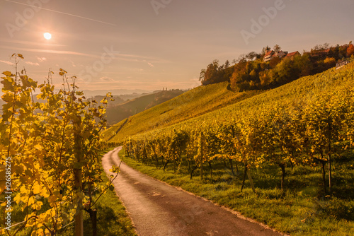  Ladnscape with vineyards at sunset in South Styria (Stajerska) .Border Austria-Slovenia. photo