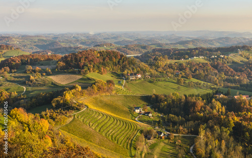  Ladnscape with vineyards at sunset in South Styria (Stajerska) .Border Austria-Slovenia.