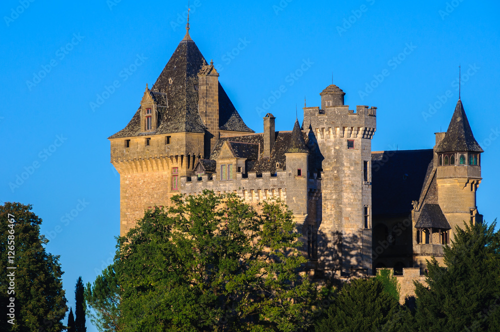 Castle of Montfort, Dordogne department (France)
