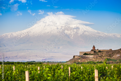 Grape field in Ararat valley. View of Khor Virap and Mount Ararat. Exploring Armenia photo