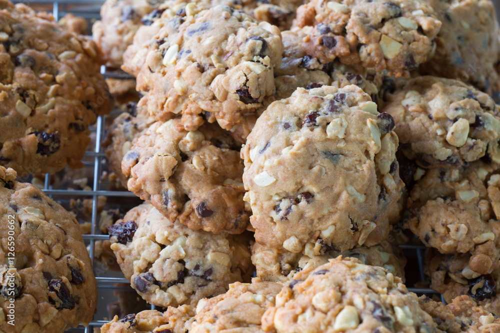 Selective focus,Fresh cookies on a tray rack,cookie close up shot Selective focus,Fresh cookies on a tray rack,cookie close up shot