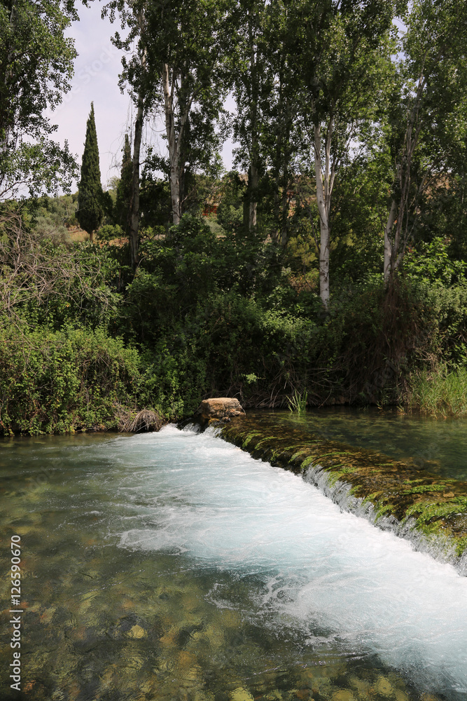 Jordan River. Hermon National Park. Israël. Jordan River. Hermon National Park. Israël.