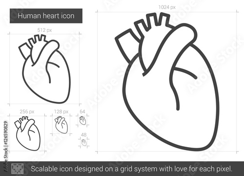 Human heart line icon.