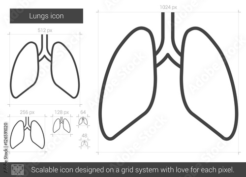Lungs line icon.