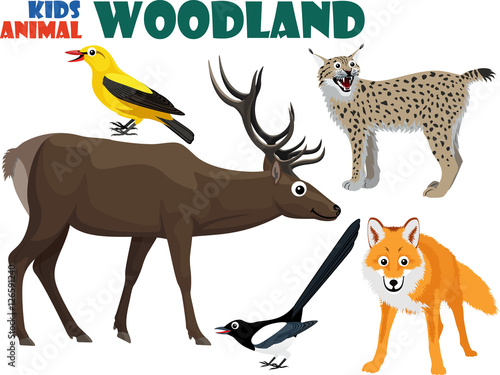 vector set of cute woodland kids animals