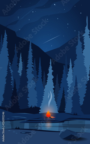 National Forest. Wild nature. Outdoor recreation. Night, fire. Vector illustration.
