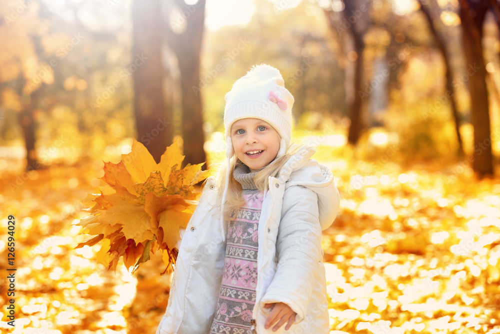 Cute little girl gathering leaves in autumn park on sunny day Cute little girl gathering leaves in autumn park on sunny day