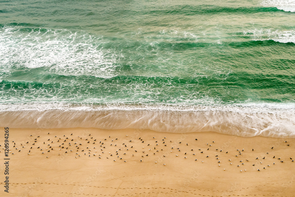 Seashore from the air