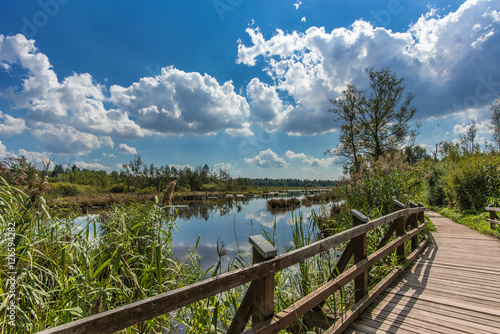 Wooden pedestrian bridge on a lake in a nature reserve, Schwenninger-Moos, Germany