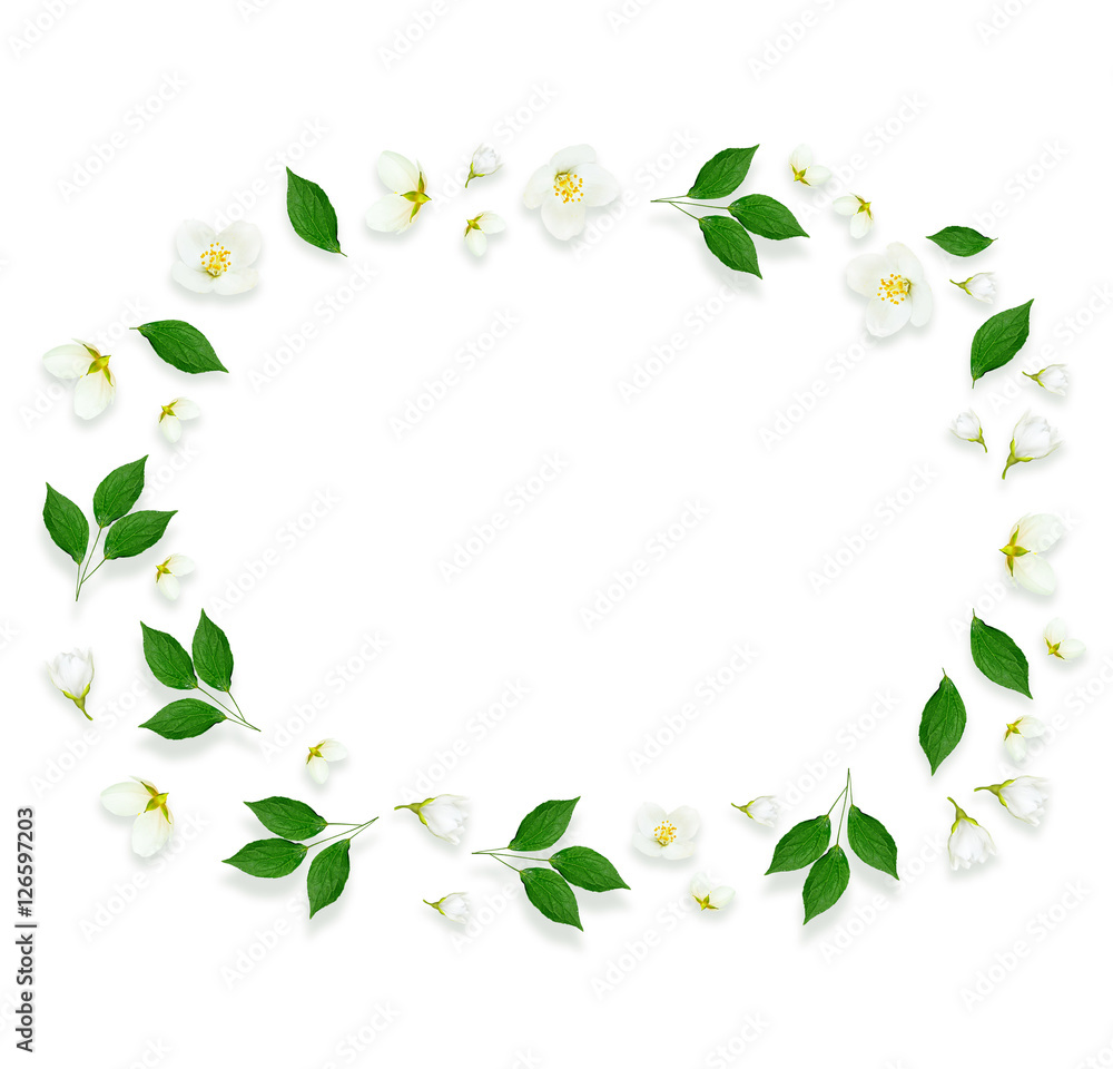 Twig bright white jasmine flowers. Spring composition.