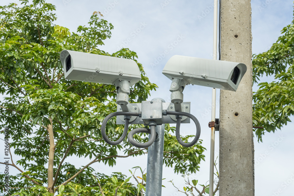Security CCTV cameras on a pole with the green tree background Security CCTV cameras on a pole with the green tree background