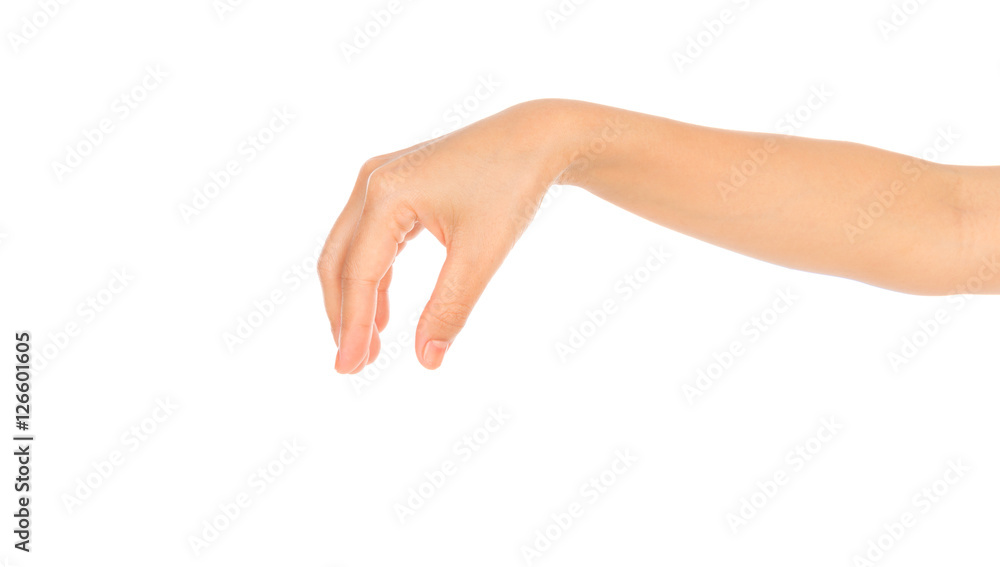 Beautiful woman hand holding isolated on white background . Beautiful woman hand holding isolated on white background .