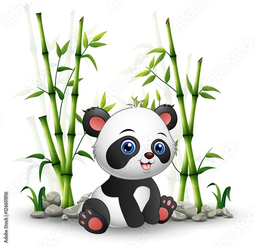 Fototapeta Naklejka Na Ścianę i Meble -  Baby panda sitting among bamboo stem