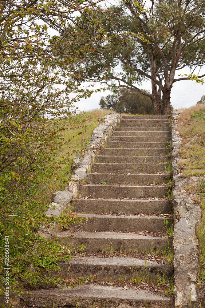 Kangaroo Battery Hobart