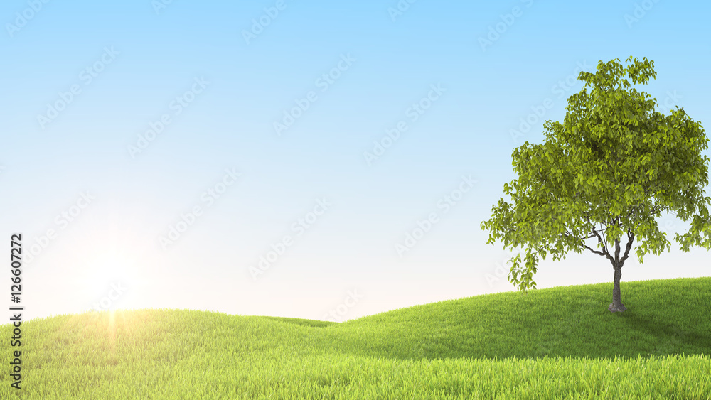 Fototapeta premium Green field. 3D rendering