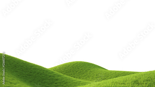 Green field. 3D rendering