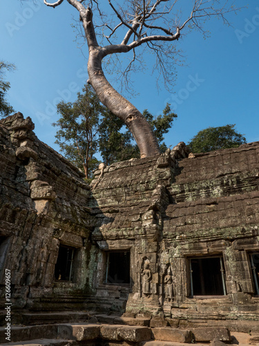 Ta Prohm temple in Angkor, Cambodia