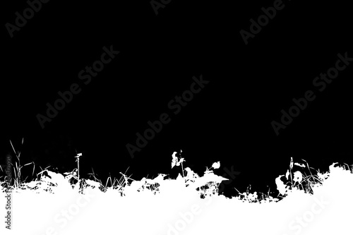 Horizontal black and white grass silhouette illustration backgro