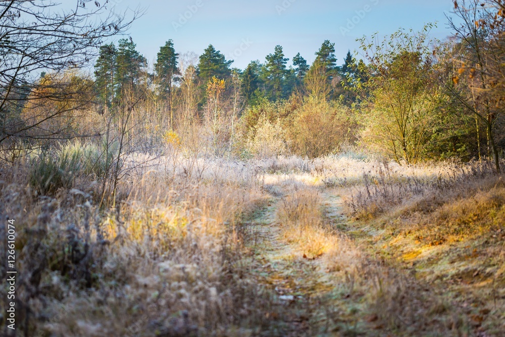Beautiful frosty morning in countryside Beautiful frosty morning in countryside
