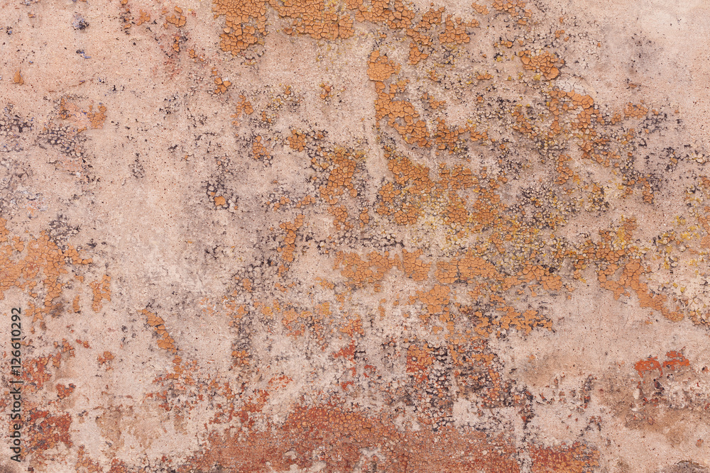 Wall Texture Background