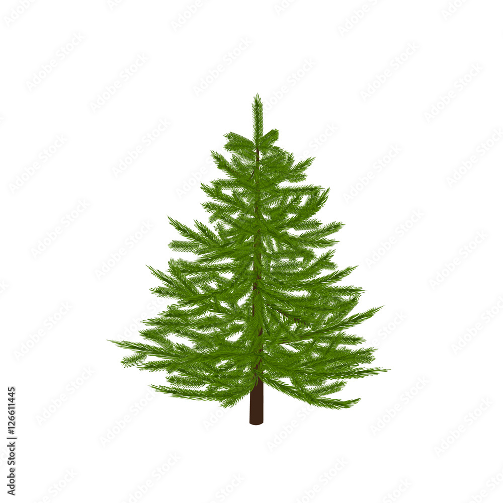 Obraz premium Green fir tree. Christmas symbol. New Year. On a white background isolated illustration