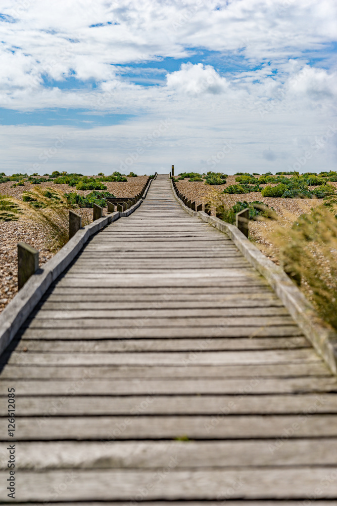langer Holzpfad zum Horizint langer Holzpfad zum Horizint