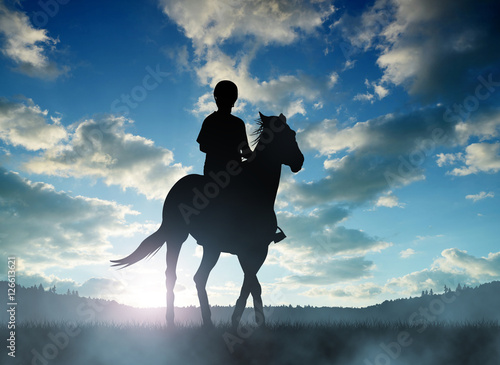 Silhouette rider on horse at sunset.