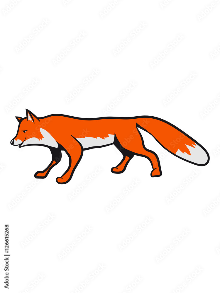 Obraz premium Fox sweet running