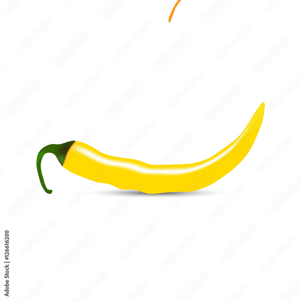 Realistic Hot yellow  pepper vector illustration on white background