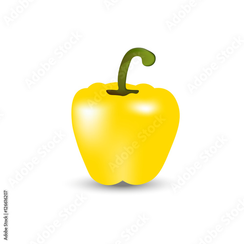 Realistic yellow pepper vector illustration on white background