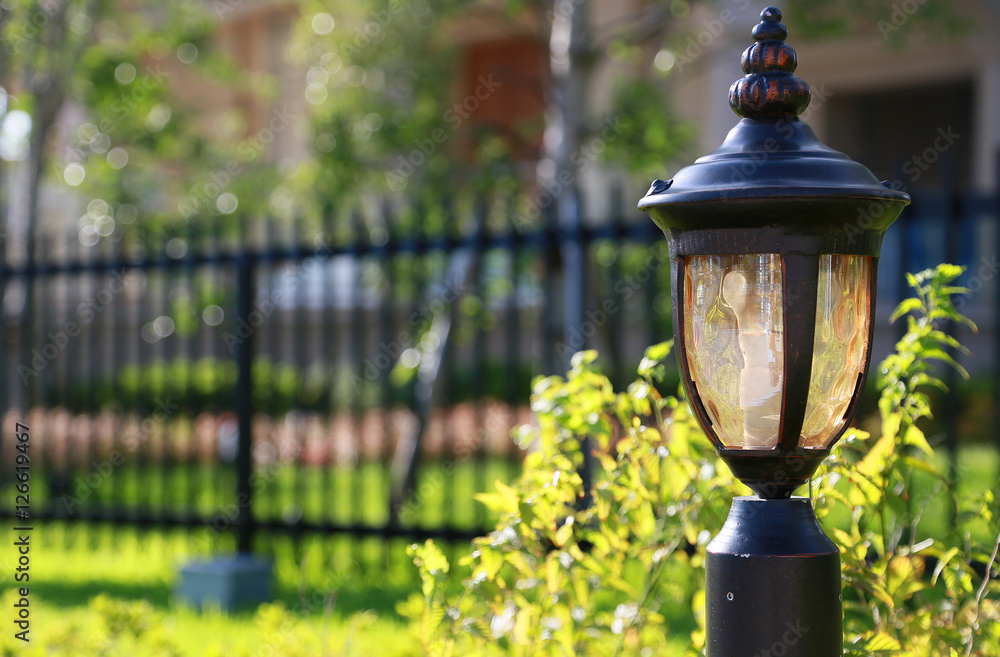 Fototapeta premium Green and a fence and streetlight