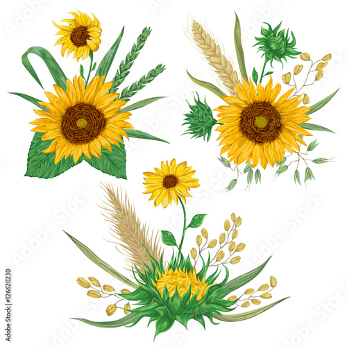 Sunflower, barley, wheat, rye, rice and oat. Collection decorative floral design elements. Isolated elements. Bouquets with cereals and flowers. Vintage vector illustration in watercolor style.