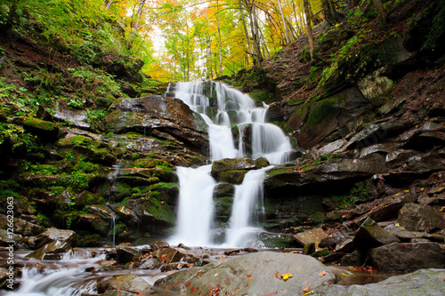 Beautiful view of the waterfall in the beech forest in the golden autumn season. © Vitalfoto