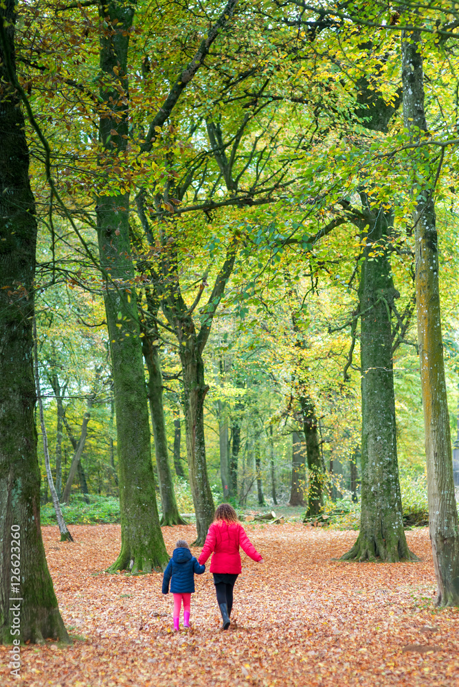promenade dans la forêt avec maman promenade dans la forêt avec maman