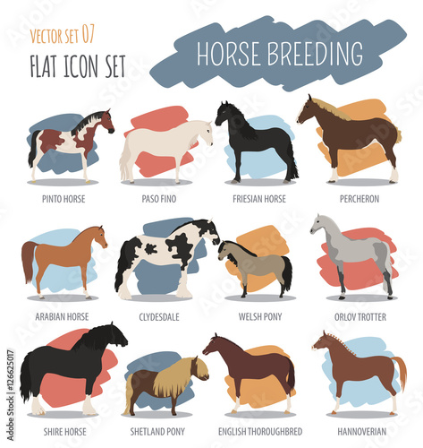 Horse breeding icon set. Farm animal. Flat design